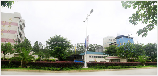 饲料.jpg 饲料.jpg