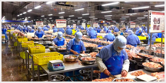 屠宰加工.jpg 屠宰加工.jpg